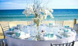 Lot's Weddings & Events