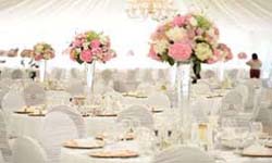 Den hertog Weddingplanner