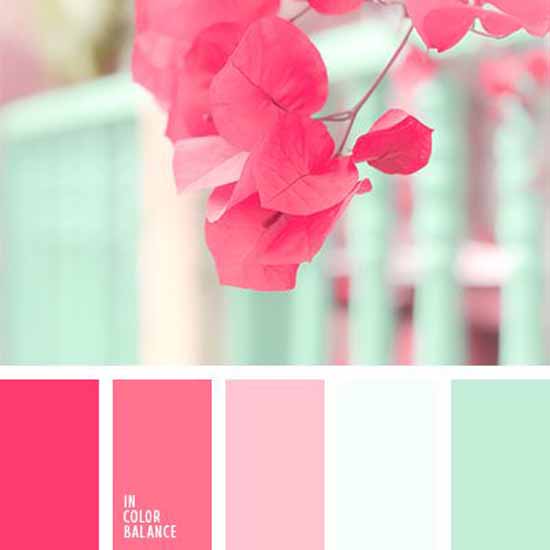 Mint roze kleurenpallet