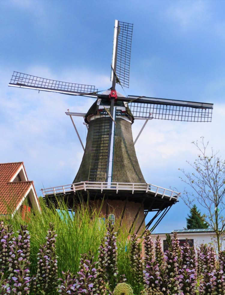 Trouwen in een molen