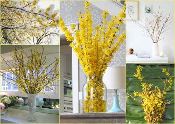 Forsythia-in-vaas-bruiloft