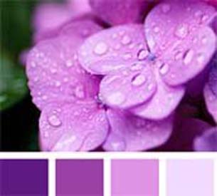 Pallet-hortensia-paars-bruiloft