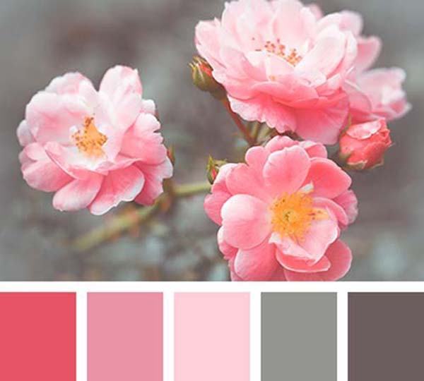 kleurenpallet-roze-grijs